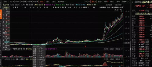 2019年，你可能錯過的十大牛股 軟件外包服務篇