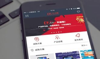 軟件外包全流程解析 從需求對接到項目交付